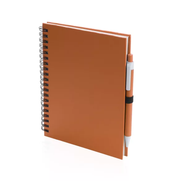 4729-007MK-Notes-Koguel