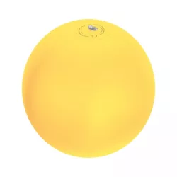 5102908-minge-de-plaja