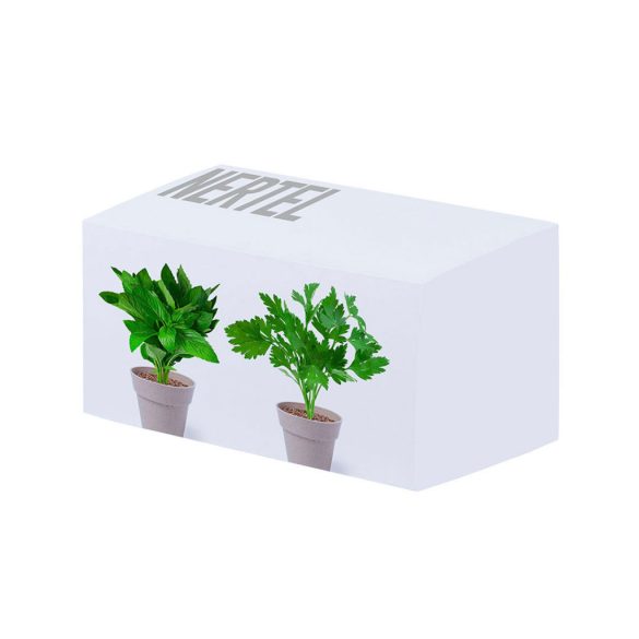 5113-000MK-Set-de-vase-cu-seminte-Nertel