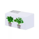 5113-000MK-Set-de-vase-cu-seminte-Nertel
