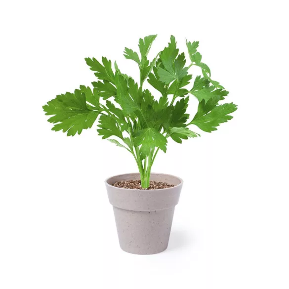 5113-000MK-Set-de-vase-cu-seminte-Nertel