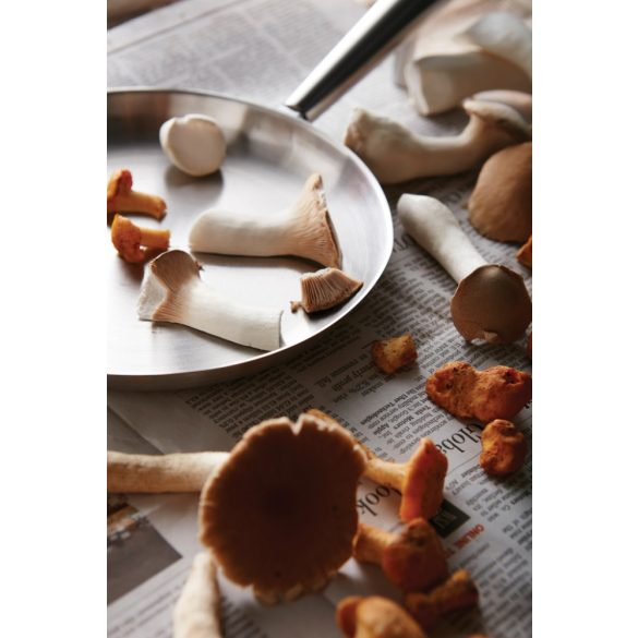 5510-Tigaie-pentru-aer-liber-Vinga-Vici