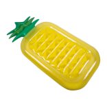 5525608-Ananas-gonflabil