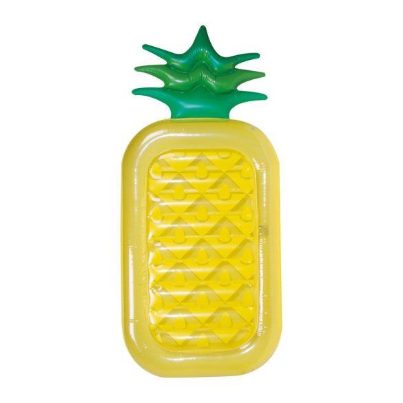 5525608-Ananas-gonflabil