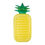 5525608-Ananas-gonflabil
