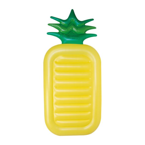 5525608-Ananas-gonflabil