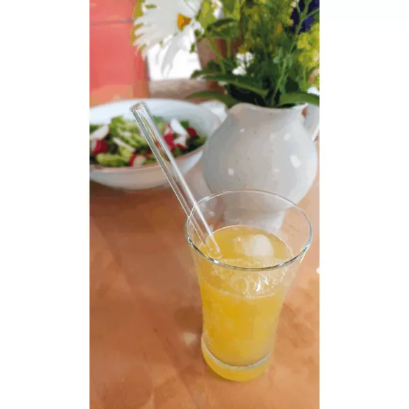 56-0304416-Pai-de-sticla-DRINK-SMART