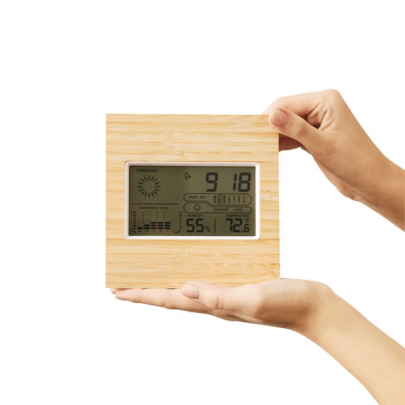 56-0401000-Statie-meteo-FORECAST