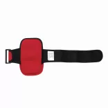56-0404408-Banderola-Fellow-