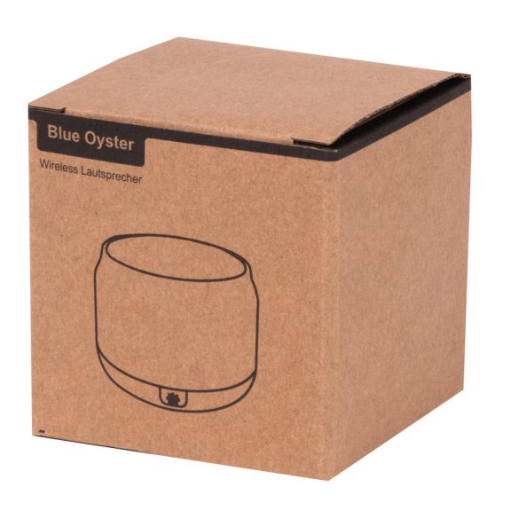 56-0406240-Boxa-fara-fir-BLUE-OYSTER