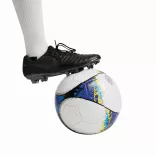56-0605039-Minge-de-fotbal-PROMOTION-CUP