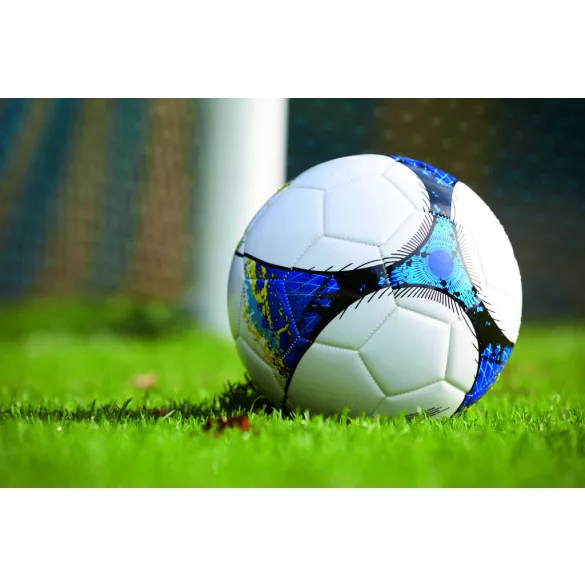 56-0605039-Minge-de-fotbal-PROMOTION-CUP