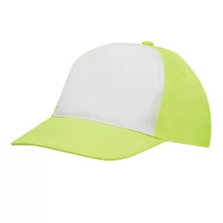 56-0701801-Sapca-Shiny