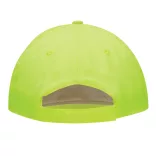 56-0701801-Sapca-Shiny