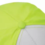 56-0701801-Sapca-Shiny