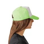 56-0701802-Sapca-Shiny