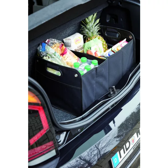56-0890030-Cutie-tip-bagaj-pentru-masina-CAR