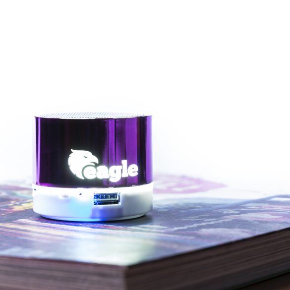 5775-009MK-Boxa-portabila-Viancos-SILVER