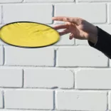 5837908-frisbee