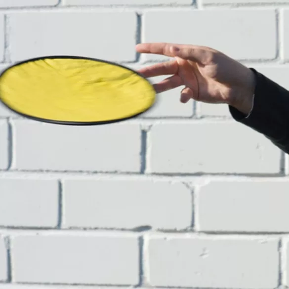 5837908-frisbee