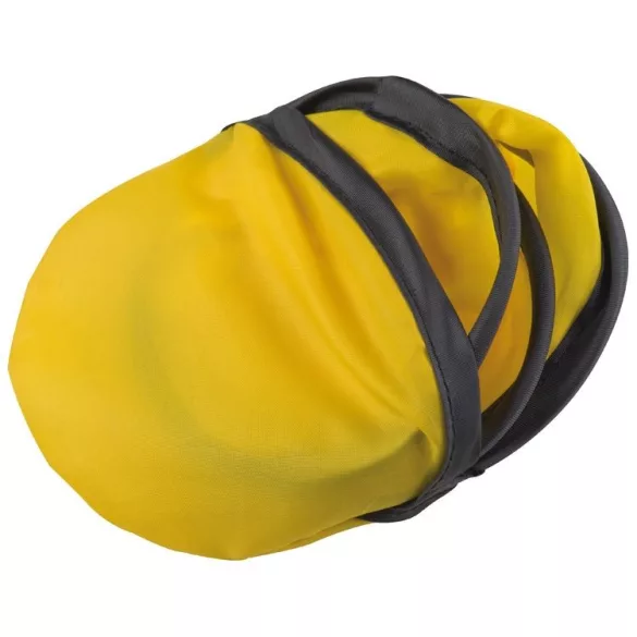 5837908-frisbee