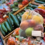 6119506-Punga-din-Pet-reciclat