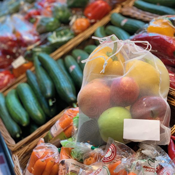 6119506-Punga-din-Pet-reciclat