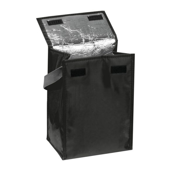 6247203-Geanta-frigorifica