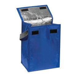 6247204-Geanta-frigorifica