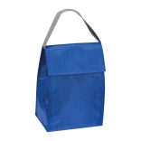 6247204-Geanta-frigorifica