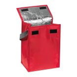 6247205-Geanta-frigorifica