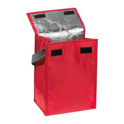 6247205-Geanta-frigorifica