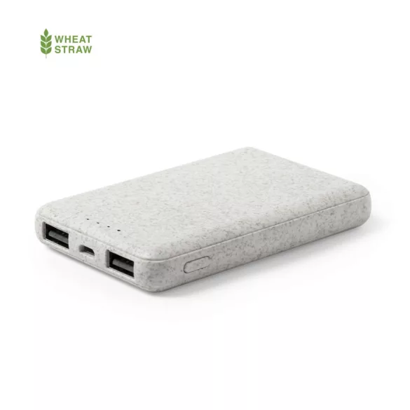 6539-013MK-Baterie-externa-Shiden