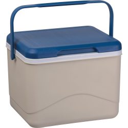 6552713-Lada-frigorifica-CrisMa-cu-pastila-de-racire