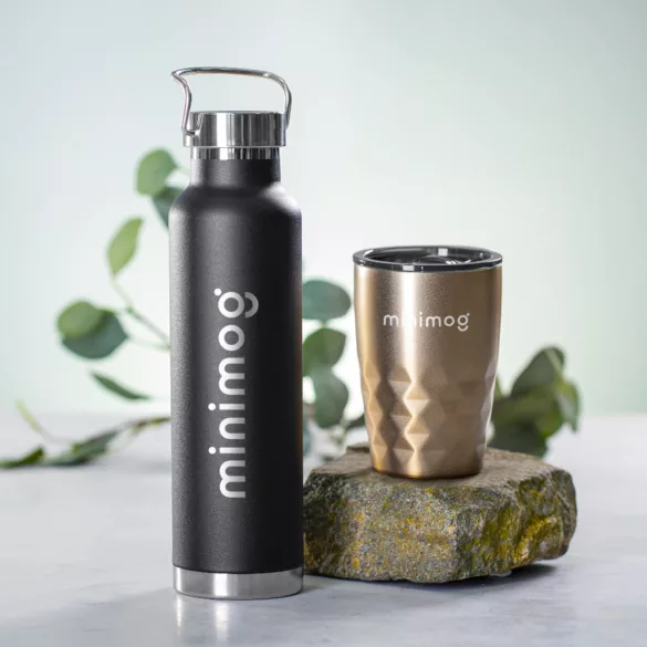 6859-006MK-Sticla-Staver