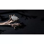 7314-000MK-Inel-Hansok