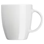 8268906-Cana-portelan-300ml
