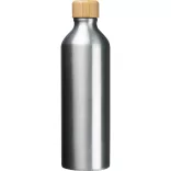 8376307-Sticla-mare-de-baut-din-aluminiu-reciclat