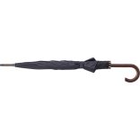 8422-001-Umbrela-automata-Barry