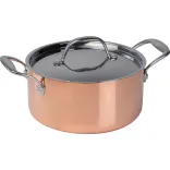 8497395-Oala-de-gatit-cu-inductie-cu-capac