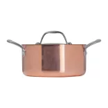 8497395-Oala-de-gatit-cu-inductie-cu-capac