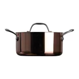 8497395-Oala-de-gatit-cu-inductie-cu-capac