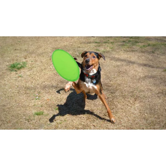 9156-004MK-Frisbee-Watson