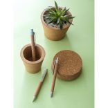 91795_124-Pix-din-pluta-GOYA