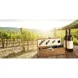 94189--60-set-de-vin