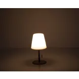 9537006-Lampa-de-exterior-cu-schimbare-de-culoare