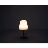 9537006-Lampa-de-exterior-cu-schimbare-de-culoare