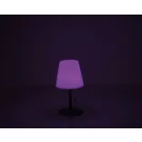 9537006-Lampa-de-exterior-cu-schimbare-de-culoare