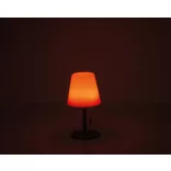 9537006-Lampa-de-exterior-cu-schimbare-de-culoare