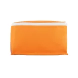 98406-28-geanta-termoizolanta-6-doze